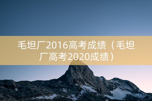 毛坦厂2016高考成绩（毛坦厂高考2020成绩）
