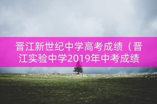 晋江新世纪中学高考成绩（晋江实验中学2019年中考成绩）