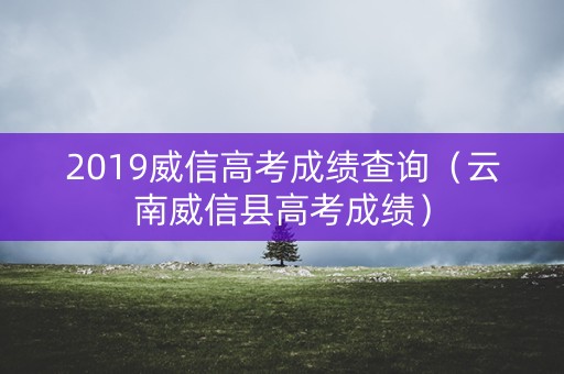 2019威信高考成绩查询（云南威信县高考成绩）