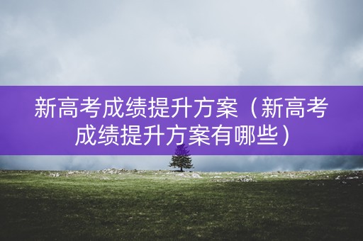 新高考成绩提升方案(新高考成绩提升方案有哪些) 新高考成绩提升方案(新高考成绩提升方案有哪些)