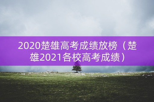 2020楚雄高考成绩放榜（楚雄2021各校高考成绩）