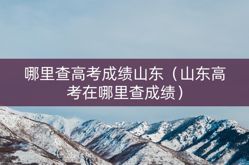 哪里查高考成绩山东（山东高考在哪里查成绩）