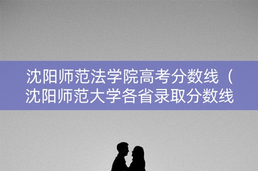 沈阳师范法学院高考分数线（沈阳师范大学各省录取分数线）