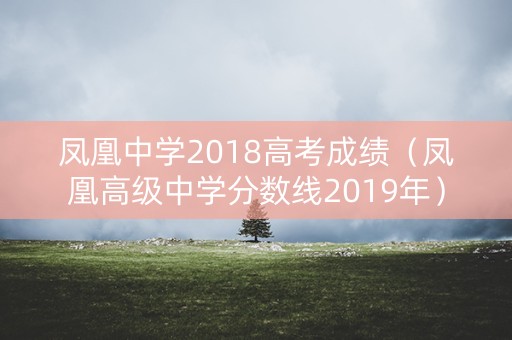 凤凰中学2018高考成绩（凤凰高级中学分数线2019年）