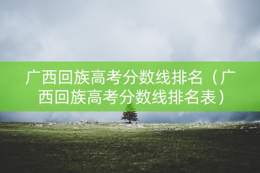 广西回族高考分数线排名（广西回族高考分数线排名表）