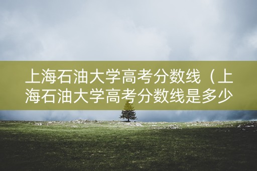 上海石油大学高考分数线（上海石油大学高考分数线是多少）