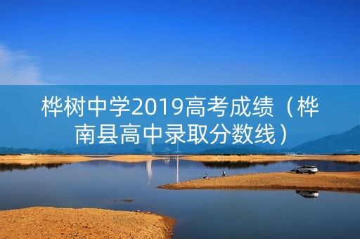 桦树中学2019高考成绩（桦南县高中录取分数线）