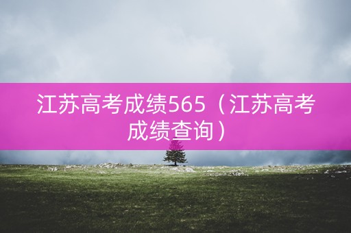 江苏高考成绩565（江苏高考成绩查询）