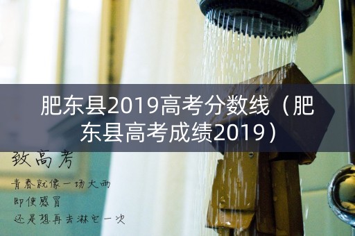 肥东县2019高考分数线（肥东县高考成绩2019）