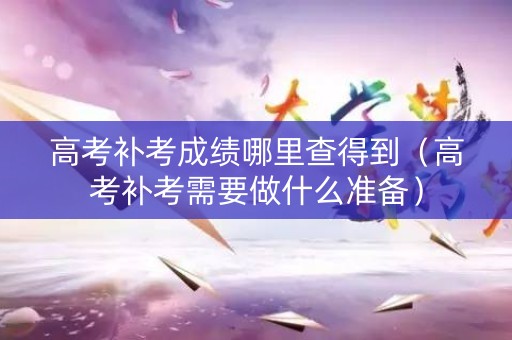 高考补考成绩哪里查得到（高考补考需要做什么准备）