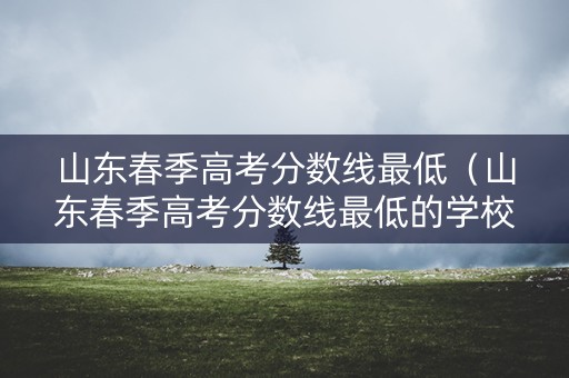 山东春季高考分数线最低（山东春季高考分数线最低的学校）