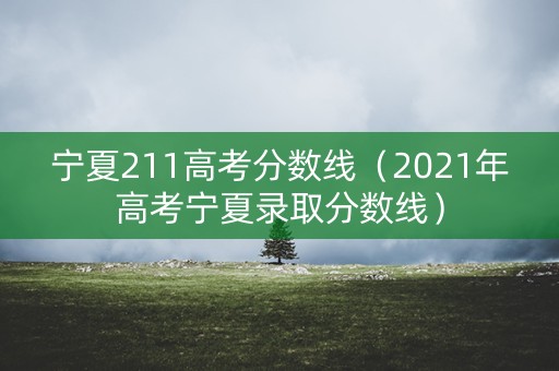 宁夏211高考分数线（2021年高考宁夏录取分数线）