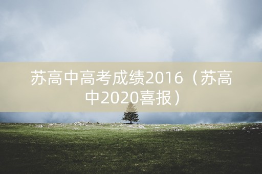 苏高中高考成绩2016（苏高中2020喜报）