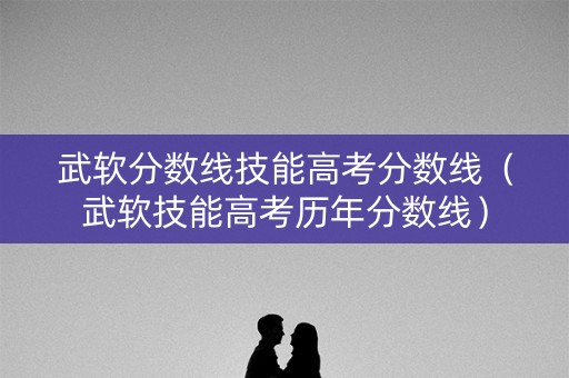 武软分数线技能高考分数线（武软技能高考历年分数线）