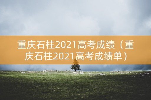 重庆石柱2021高考成绩（重庆石柱2021高考成绩单）