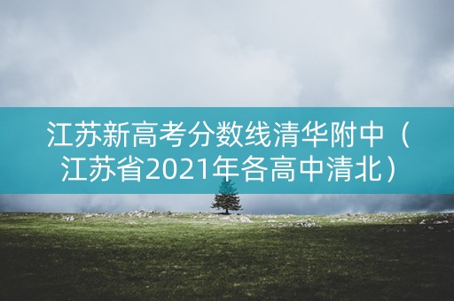 江苏新高考分数线清华附中（江苏省2021年各高中清北）