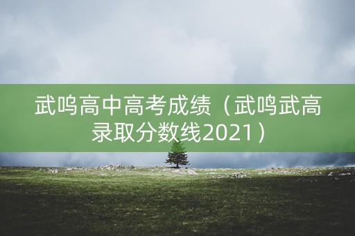 武呜高中高考成绩（武鸣武高录取分数线2021）