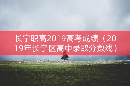 长宁职高2019高考成绩（2019年长宁区高中录取分数线）