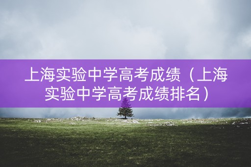 上海实验中学高考成绩（上海实验中学高考成绩排名）