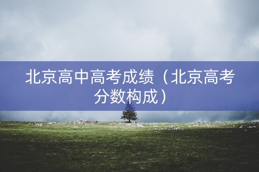 北京高中高考成绩（北京高考分数构成）
