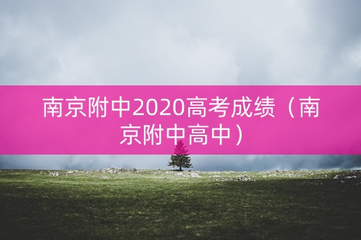 南京附中2020高考成绩（南京附中高中）