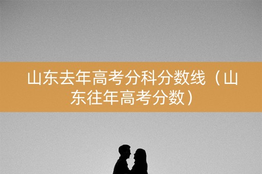 山东去年高考分科分数线（山东往年高考分数）