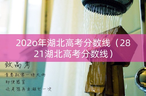 202o年湖北高考分数线（2821湖北高考分数线）