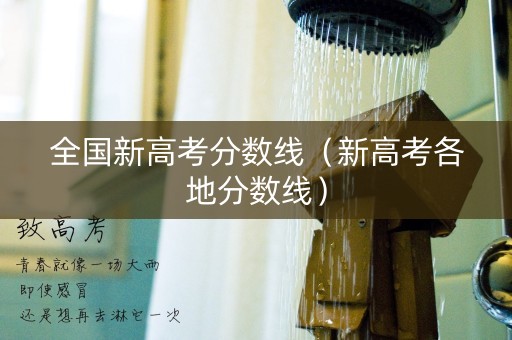 全国新高考分数线(新高考各地分数线) 全国新高考分数线(新高考各地分数线)