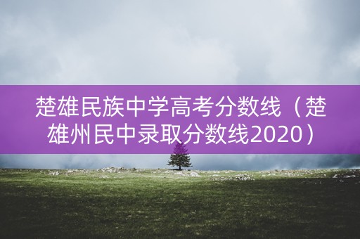 楚雄民族中学高考分数线（楚雄州民中录取分数线2020）
