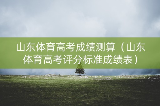 山东体育高考成绩测算（山东体育高考评分标准成绩表）