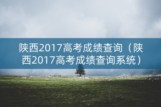 陕西2017高考成绩查询（陕西2017高考成绩查询系统）