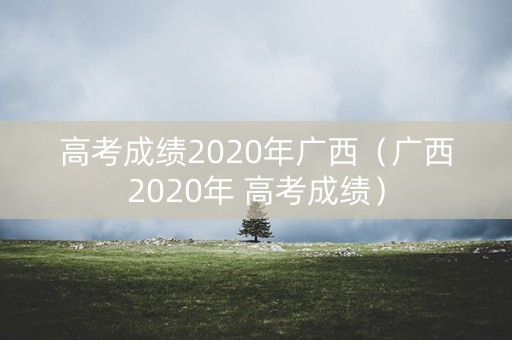高考成绩2020年广西（广西2020年 高考成绩）