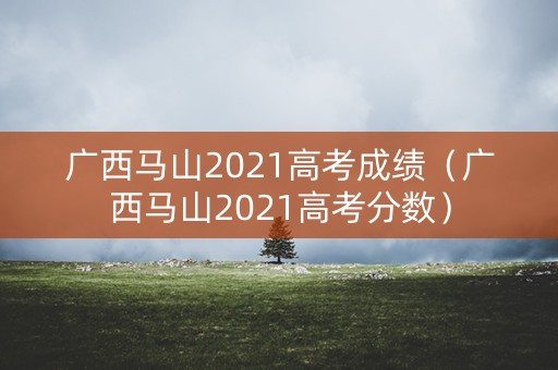 广西马山2021高考成绩（广西马山2021高考分数）