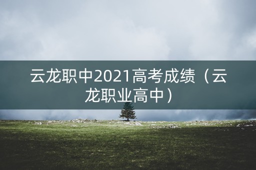 云龙职中2021高考成绩（云龙职业高中）