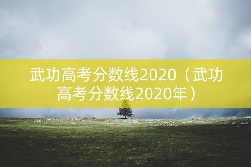 武功高考分数线2020（武功高考分数线2020年）