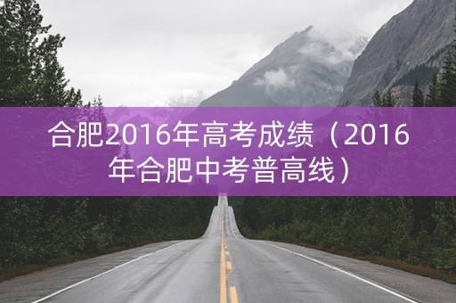 合肥2016年高考成绩（2016年合肥中考普高线）