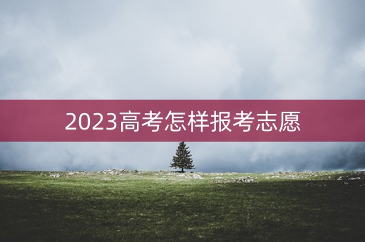 2023高考怎样报考志愿