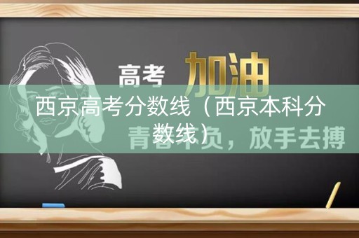 西京高考分数线（西京本科分数线）