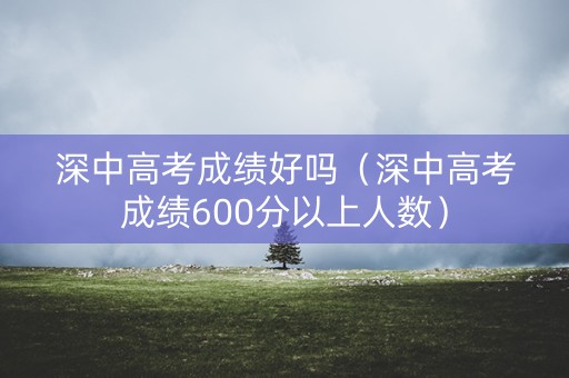 深中高考成绩好吗（深中高考成绩600分以上人数）