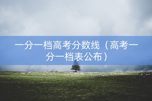 一分一档高考分数线（高考一分一档表公布）