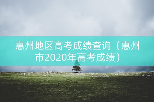 惠州地区高考成绩查询（惠州市2020年高考成绩）