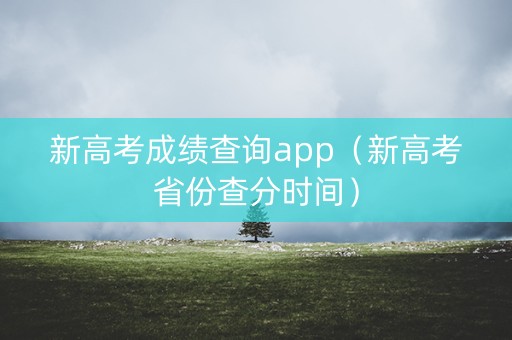 新高考成绩查询app（新高考省份查分时间）