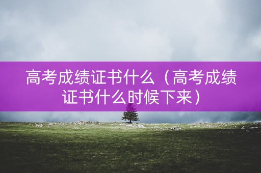 高考成绩证书什么（高考成绩证书什么时候下来）
