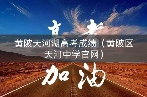 黄陂天河湖高考成绩（黄陂区天河中学官网）
