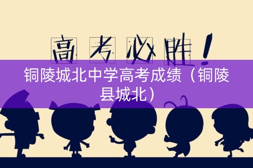 铜陵城北中学高考成绩（铜陵县城北）