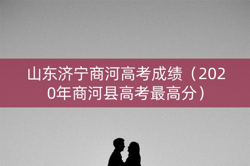 山东济宁商河高考成绩（2020年商河县高考最高分）