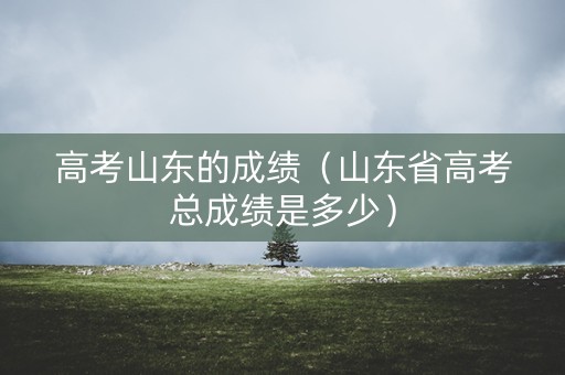高考山东的成绩（山东省高考总成绩是多少）