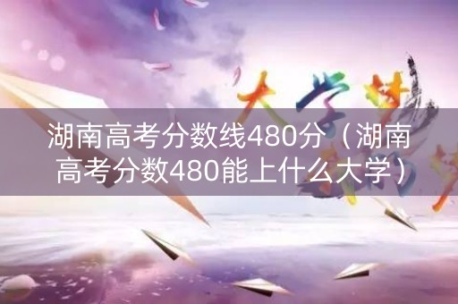 湖南高考分数线480分（湖南高考分数480能上什么大学）
