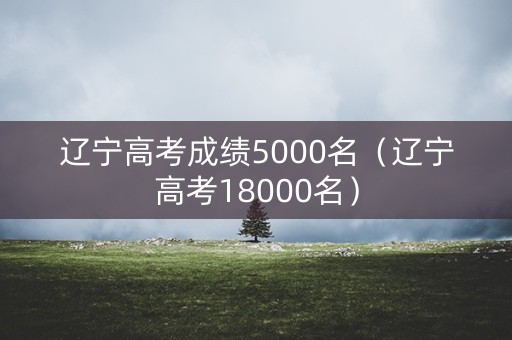 辽宁高考成绩5000名（辽宁高考18000名）