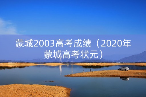 蒙城2003高考成绩（2020年蒙城高考状元）